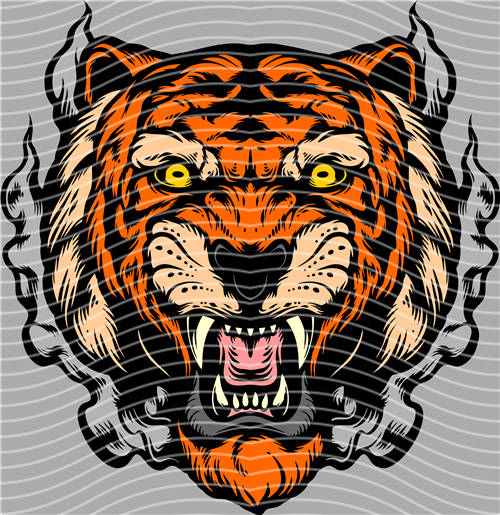 Street design-JT 4442